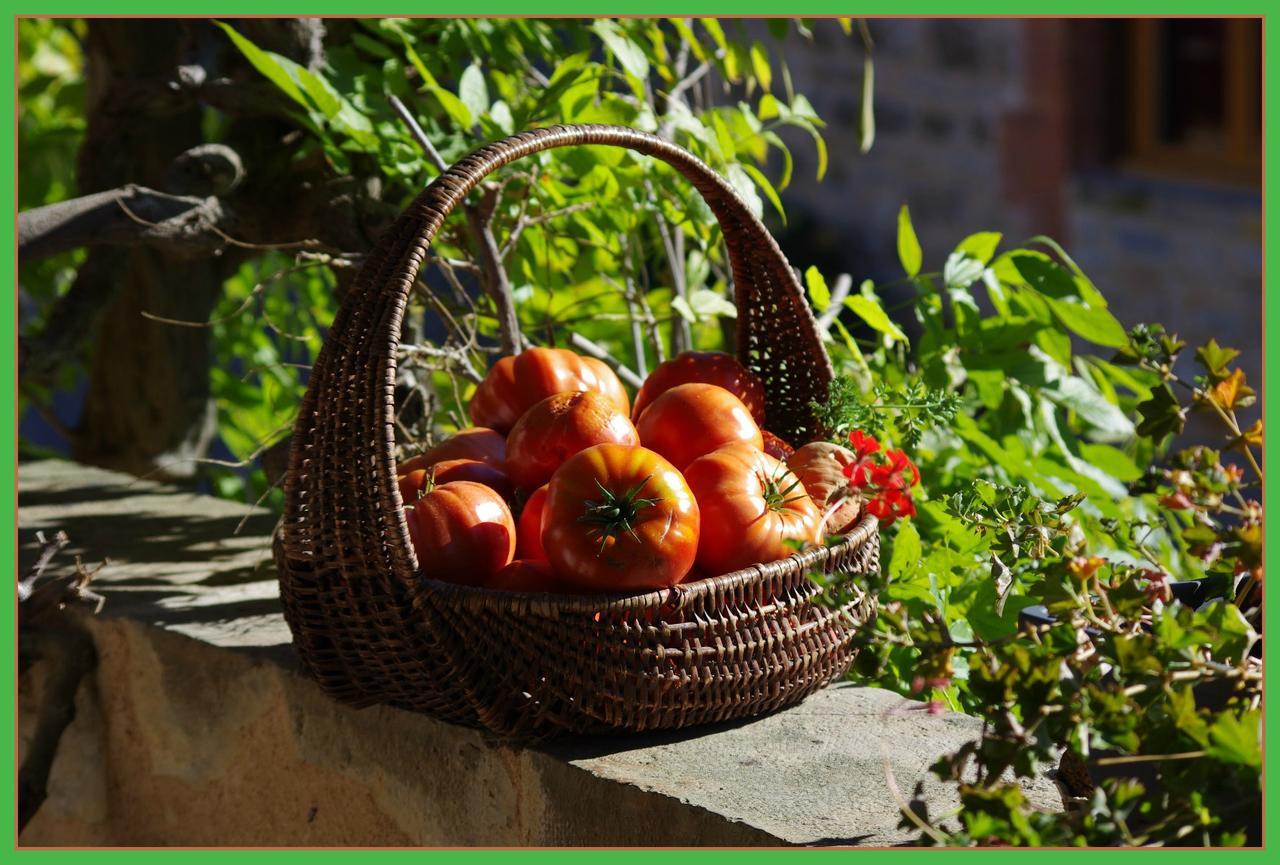 Bed and Breakfast La Prade Basse 82 Saint-Antonin Esterno foto